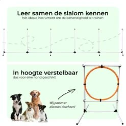 AYOO Agility Voor De Hond - Honden Training - Honden Behendigheid Set - Hondenparcours - Training Huisdieren - Honden Agility Set - Slalom - Horde - Draagzak - Agility Set - Oranje - Wit - GRATIS Speeltouw -Hondenspeelgoed Winkel 1200x1200 1135