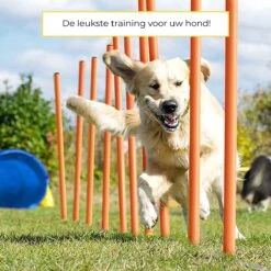 AYOO Agility Voor De Hond - Honden Agility Set - Honden Training - Honden Behendigheid Set - Honden Parcours - Training Huisdieren - Tunnel - Slalom - Horde - Draagzak - 21 Delig - GRATIS Speeltouw -Hondenspeelgoed Winkel 1200x1200 1140