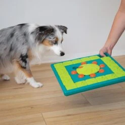 Nina Ottosson Interactieve Hondenpuzzel Vulbaar Met Snacks Voor De Slimste Honden - Outward Hound Multipuzzle 20 Nina Ottosson Interactieve Hondenpuzzel Vulbaar Met Snacks Voor De Slimste Honden - Outward Hound Multipuzzle -Hondenspeelgoed Winkel 1200x1200 1146