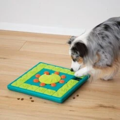 Nina Ottosson Interactieve Hondenpuzzel Vulbaar Met Snacks Voor De Slimste Honden - Outward Hound Multipuzzle 24 Nina Ottosson Interactieve Hondenpuzzel Vulbaar Met Snacks Voor De Slimste Honden - Outward Hound Multipuzzle -Hondenspeelgoed Winkel 1200x1200 1149