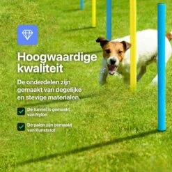Tavaro Agility Voor De Hond - Honden Training - Hondentunnel - Springhoepel - Horde - Slalom - Honden Behendigheid Trainingsset 14 Tavaro Agility Voor De Hond - Honden Training - Hondentunnel - Springhoepel - Horde - Slalom - Honden Behendigheid Trainingsset -Hondenspeelgoed Winkel 1200x1200 1153