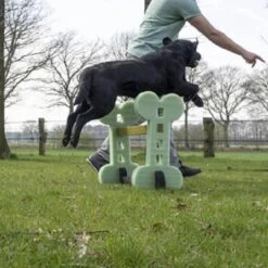 Dog Agility Set Indoor En Outdoor - Honden Trainingsset - -Hondenspeelgoed Winkel 1200x1200 1162