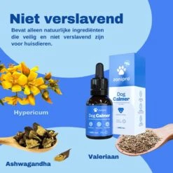 Aerend - Kalmerende Druppels Voor Honden - Zanipro® 30ml - Ontspanning En Antistress Middel Om Gedragsproblemen Te Verlichten - 100% Natuurlijk Uit Het Verenigd Koninkrijk - Met Ashwagandha & Valeriaan - No-stress - Voor Thuis En Onderweg -Hondenspeelgoed Winkel 1200x1200 1173