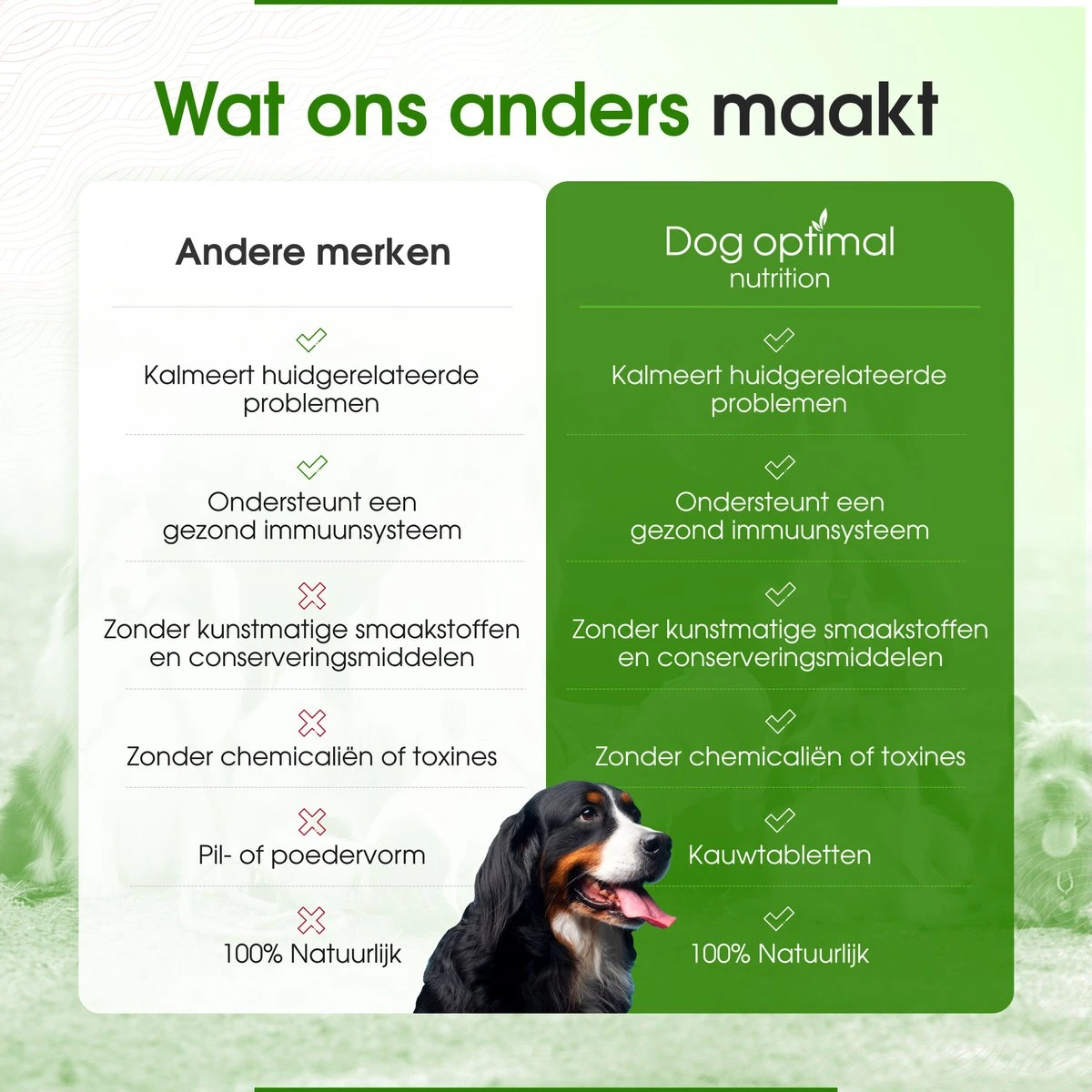 DOG OPTIMAL ANTI ALLERGY SUPPORT 120 Stuks - Allergie - Honden - Hondensnacks - Hondenkoekjes - Hondensupplementen - Honden - Puppy - Hondenvoeding - Weerstand - Jeuk-hond - Jeuk 6 DOG OPTIMAL ANTI ALLERGY SUPPORT 120 Stuks - Allergie - Honden - Hondensnacks - Hondenkoekjes - Hondensupplementen - Honden - Puppy - Hondenvoeding - Weerstand - Jeuk-hond - Jeuk - Afbeelding 4