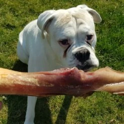 Topdiervoeding Runderkophuid Hondensnacks - Vers Gedroogd - 30cm - 1000 Gram -Hondenspeelgoed Winkel 1200x1200 1184