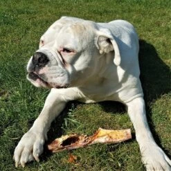 Topdiervoeding Runderkophuid Hondensnacks - Vers Gedroogd - 30cm - 1000 Gram -Hondenspeelgoed Winkel 1200x1200 1185