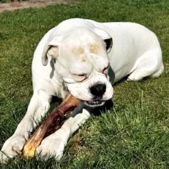 Topdiervoeding Runderkophuid Hondensnacks - Vers Gedroogd - 30cm - 1000 Gram -Hondenspeelgoed Winkel 1200x1200 1186