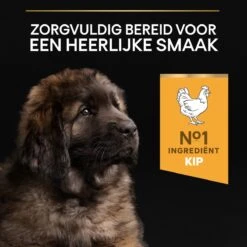 Pro Plan Healthy Start Puppy Large Robust - Honden Droogvoer - Kip - 12 Kg 25 Pro Plan Healthy Start Puppy Large Robust - Honden Droogvoer - Kip - 12 Kg -Hondenspeelgoed Winkel 1200x1200 1187