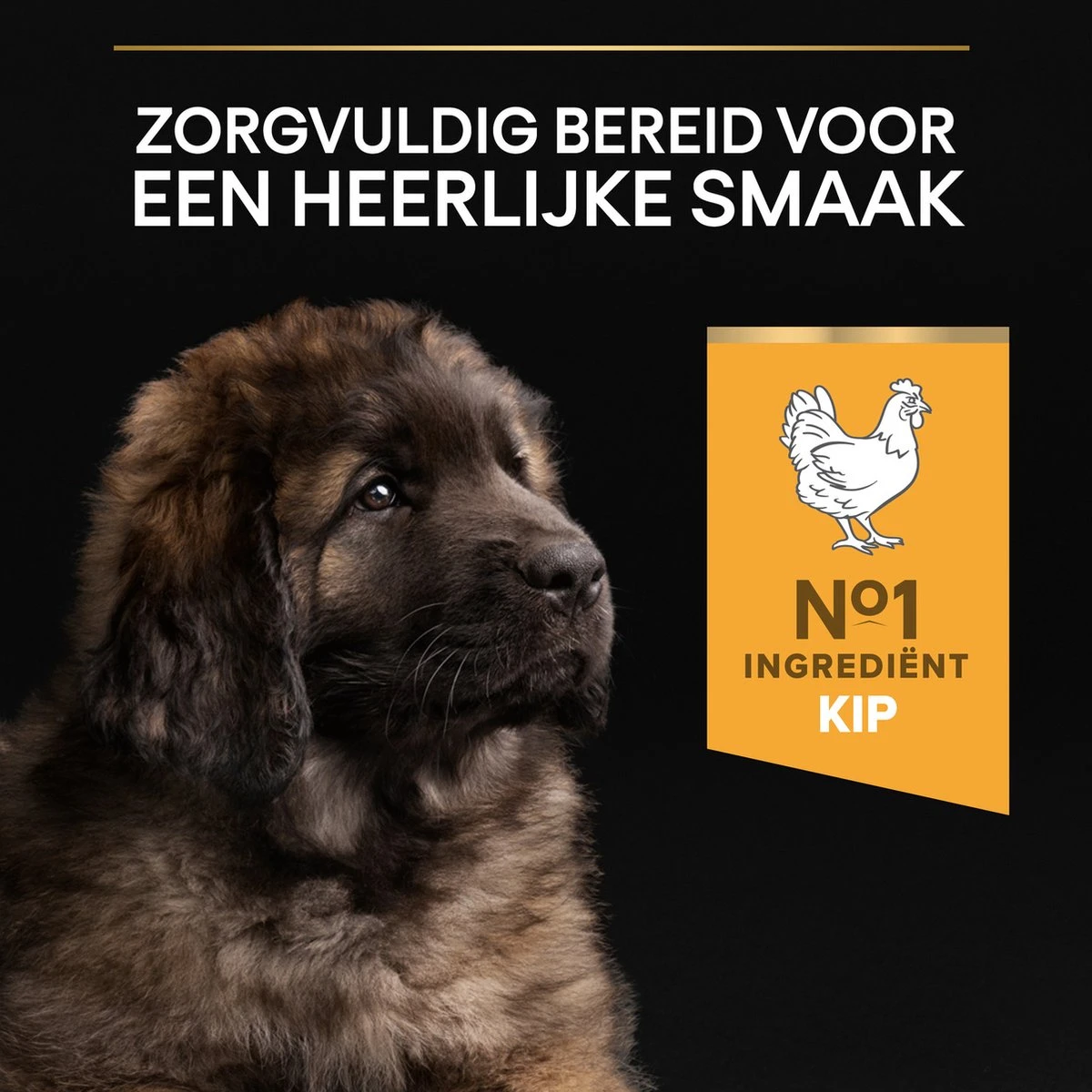 Pro Plan Healthy Start Puppy Large Robust - Honden Droogvoer - Kip - 12 Kg 12 Pro Plan Healthy Start Puppy Large Robust - Honden Droogvoer - Kip - 12 Kg - Afbeelding 10