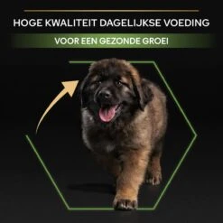 Pro Plan Healthy Start Puppy Large Robust - Honden Droogvoer - Kip - 12 Kg 26 Pro Plan Healthy Start Puppy Large Robust - Honden Droogvoer - Kip - 12 Kg -Hondenspeelgoed Winkel 1200x1200 1188