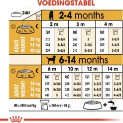 Royal Canin Labrador Retriever Junior 12 KG -Hondenspeelgoed Winkel 1200x1200 1189