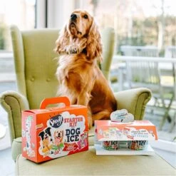 Smoofl Honden Lekkernij - Starter Kit Om Je Eigen Honden Ijs Te Maken, Kit Met 2 Ijsmixen Voor Honden, Pindakaas En Aardbei Smaak, Een Pootvormige Silicone Vorm - Voor 4 Hondenijsjes 15 Smoofl Honden Lekkernij - Starter Kit Om Je Eigen Honden Ijs Te Maken, Kit Met 2 Ijsmixen Voor Honden, Pindakaas En Aardbei Smaak, Een Pootvormige Silicone Vorm - Voor 4 Hondenijsjes -Hondenspeelgoed Winkel 1200x1200 1212