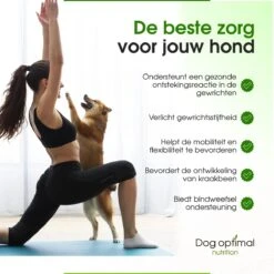 Dog Optimal Gewricht Supplement 90 Stuks - Mobility - Glucosamine Hond - Artrose - Heupdysplasie - Gewrichten - Hondensnacks - Hondenkoekjes - Hondensupplementen - Honden - Puppy - Hondenvoeding - Mankheid - HD - ED -Hondenspeelgoed Winkel 1200x1200 1218