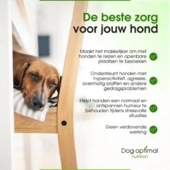 RUST EN KALMEREN CALMING Support 120 Stuks - Kalmeren - AntistressmiddelHond - Hond - Hondenkoekjes - Hondensupplementen - Honden - Puppy - Hondenvoeding -Hondenspeelgoed Winkel 1200x1200 1226