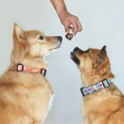 Topdiervoeding Runderlong Hondensnacks - Vers Gedroogd - Knapperig - 1 KG -Hondenspeelgoed Winkel 1200x1200 1233