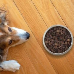 Topdiervoeding Runderlong Hondensnacks - Vers Gedroogd - Knapperig - 1 KG -Hondenspeelgoed Winkel 1200x1200 1234