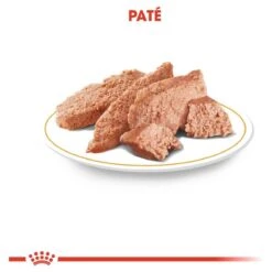 Royal Canin Chihuahua Pouch (12X85 GR) -Hondenspeelgoed Winkel 1200x1200 1239