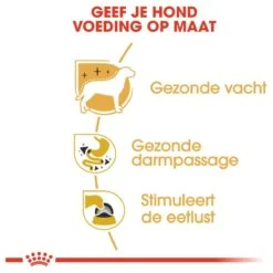 Royal Canin Chihuahua Pouch (12X85 GR) -Hondenspeelgoed Winkel 1200x1200 1240