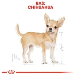 Royal Canin Chihuahua Pouch (12X85 GR) -Hondenspeelgoed Winkel 1200x1200 1241