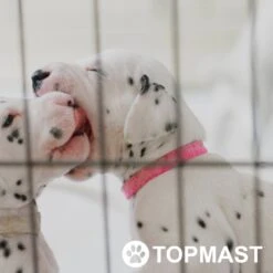 Topmast Puppyren Uitvouwbaar - Zwart - 560 Cm Omtrek - 76 Cm Hoog - Opvouwbaar - Expandable XL - Hondenren -Hondenspeelgoed Winkel 1200x1200 1276