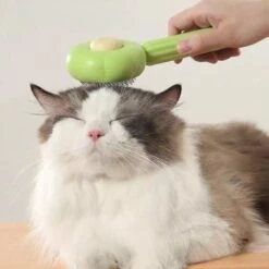 QT Petshop - Haarverwijderaar Voor Huisdieren - Groene Kattenborstel - Furminator Hondenborstel - Anti-Klit - Diervriendelijk - Dierenverzorging -Hondenspeelgoed Winkel 1200x1200 129