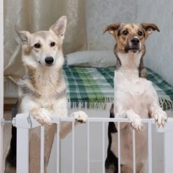 Nobleza 47B4V - Hondenhek - Metaal - H76 X L75-82 Cm - Wit -Hondenspeelgoed Winkel 1200x1200 1300