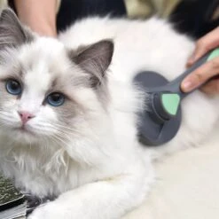 Pakeway Kattenborstel – Hondenborstel – Haarverwijderaar Voor Huisdieren – Kattenkam - Kortharig - Langharig - Inclusief Ebook! 12 Pakeway Kattenborstel – Hondenborstel – Haarverwijderaar Voor Huisdieren – Kattenkam - Kortharig - Langharig - Inclusief Ebook! -Hondenspeelgoed Winkel 1200x1200 131