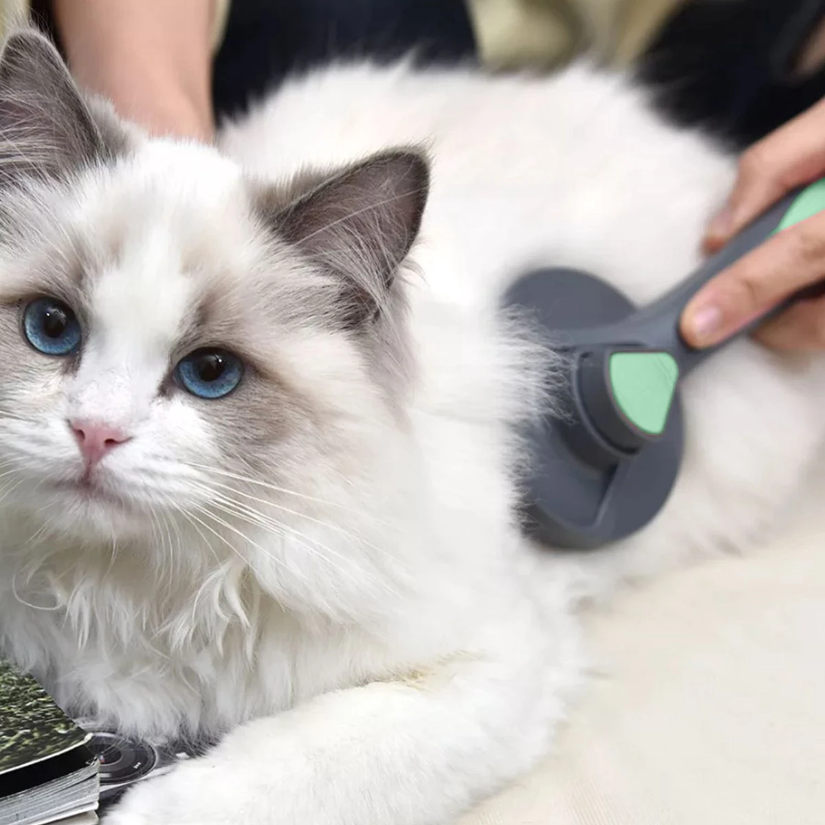 Pakeway Kattenborstel – Hondenborstel – Haarverwijderaar Voor Huisdieren – Kattenkam - Kortharig - Langharig - Inclusief Ebook! 6 Pakeway Kattenborstel – Hondenborstel – Haarverwijderaar Voor Huisdieren – Kattenkam - Kortharig - Langharig - Inclusief Ebook! - Afbeelding 4