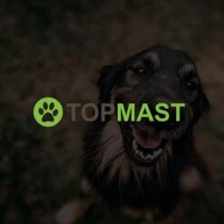 Merkloos Topmast Premium Puppyren - 120 Cm Hoog - 640 Cm Omtrek - Hondenren - Hondenhok - Zwart 11 Merkloos Topmast Premium Puppyren - 120 Cm Hoog - 640 Cm Omtrek - Hondenren - Hondenhok - Zwart -Hondenspeelgoed Winkel 1200x1200 1371