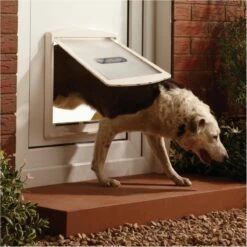 Petsafe 760 Hondenluik - L - Wit - 37 X 31,4 Cm -Hondenspeelgoed Winkel 1200x1200 1387
