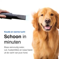 Vivid Green Waterblazer Met 3 Opzetstukken - Hondenfohn - Voor Honden - Met Geluiddemper - 2800W -Hondenspeelgoed Winkel 1200x1200 14