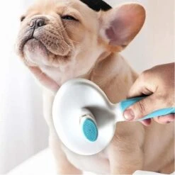 Merkloos Dierenborstel - Haarborstel Huisdieren - Borstel Voor Vacht Huisdier - Borstel Kat - Borstel Hond - Makkelijk Haar Verwijderen Met één Klik - Inclusief Speeltje - Kam Huisdier - Vachtverzorging - Massage -Hondenspeelgoed Winkel 1200x1200 146