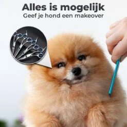 VoordeelShop 7-Delige Huisdier Knipset Met Etui - Trimmen Hond - Honden Schaar - Effileerschaar Hond - Huisdier Trimmer - Huisdier Knippen - Knipschaar Haar - Haar Schaar - Kapper - Kapperset - Scharenset 22 VoordeelShop 7-Delige Huisdier Knipset Met Etui - Trimmen Hond - Honden Schaar - Effileerschaar Hond - Huisdier Trimmer - Huisdier Knippen - Knipschaar Haar - Haar Schaar - Kapper - Kapperset - Scharenset -Hondenspeelgoed Winkel 1200x1200 171