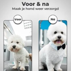 VoordeelShop 7-Delige Huisdier Knipset Met Etui - Trimmen Hond - Honden Schaar - Effileerschaar Hond - Huisdier Trimmer - Huisdier Knippen - Knipschaar Haar - Haar Schaar - Kapper - Kapperset - Scharenset 23 VoordeelShop 7-Delige Huisdier Knipset Met Etui - Trimmen Hond - Honden Schaar - Effileerschaar Hond - Huisdier Trimmer - Huisdier Knippen - Knipschaar Haar - Haar Schaar - Kapper - Kapperset - Scharenset -Hondenspeelgoed Winkel 1200x1200 172