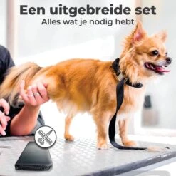 VoordeelShop 7-Delige Huisdier Knipset Met Etui - Trimmen Hond - Honden Schaar - Effileerschaar Hond - Huisdier Trimmer - Huisdier Knippen - Knipschaar Haar - Haar Schaar - Kapper - Kapperset - Scharenset 33 VoordeelShop 7-Delige Huisdier Knipset Met Etui - Trimmen Hond - Honden Schaar - Effileerschaar Hond - Huisdier Trimmer - Huisdier Knippen - Knipschaar Haar - Haar Schaar - Kapper - Kapperset - Scharenset -Hondenspeelgoed Winkel 1200x1200 177