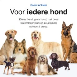 Vivid Green Waterblazer Met 3 Opzetstukken - Hondenfohn - Voor Honden - Met Geluiddemper - 2800W -Hondenspeelgoed Winkel 1200x1200 18