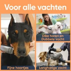 Happysnoots Hondentondeuse Draadloos Voor Dikke Vacht - Tondeuse Hond & Kat - Hondentrimmer - Professioneel Dieren Tondeuse 21 Happysnoots Hondentondeuse Draadloos Voor Dikke Vacht - Tondeuse Hond & Kat - Hondentrimmer - Professioneel Dieren Tondeuse -Hondenspeelgoed Winkel 1200x1200 203