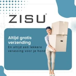 Hondentondeuse - Hondentrimmer - Dieren Tondeuse - Draadloos - 4 Opzetkammen - INCLUSIEF SNACKJE - Zwart -Hondenspeelgoed Winkel 1200x1200 221