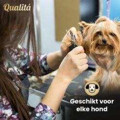 Merkloos Professionele Honden Tondeuse Set - Tondeuse Voor Huisdier Honden En Katten - Hondentrimmer - Hondentondeuse 14 Merkloos Professionele Honden Tondeuse Set - Tondeuse Voor Huisdier Honden En Katten - Hondentrimmer - Hondentondeuse -Hondenspeelgoed Winkel 1200x1200 231
