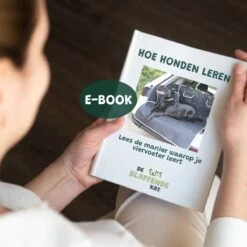 De Blaffende Kat Wasdrogerbollen - Droger Ballen - Huisdier Haarverwijderaar - 4 Wasbollen Voor Wasmachine En Droger -Hondenspeelgoed Winkel 1200x1200