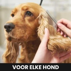 Hondentondeuse - Honden & Katten - Trimmer - Geluidsloos -Hondenspeelgoed Winkel 1200x1200 252
