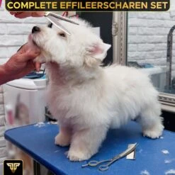 Toivo Schaar Voor Dieren - Zilver - Effileerscharen - Honden Scharenset - Dierenschaar - Set 5 Stuks - Trimscharen - Trimset - Uitdunschaar Hond - Schaar Honden 13 Toivo Schaar Voor Dieren - Zilver - Effileerscharen - Honden Scharenset - Dierenschaar - Set 5 Stuks - Trimscharen - Trimset - Uitdunschaar Hond - Schaar Honden -Hondenspeelgoed Winkel 1200x1200 258