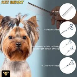 Toivo Schaar Voor Dieren - Zilver - Effileerscharen - Honden Scharenset - Dierenschaar - Set 5 Stuks - Trimscharen - Trimset - Uitdunschaar Hond - Schaar Honden 16 Toivo Schaar Voor Dieren - Zilver - Effileerscharen - Honden Scharenset - Dierenschaar - Set 5 Stuks - Trimscharen - Trimset - Uitdunschaar Hond - Schaar Honden -Hondenspeelgoed Winkel 1200x1200 261