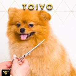 Toivo Schaar Voor Dieren - Zilver - Effileerscharen - Honden Scharenset - Dierenschaar - Set 5 Stuks - Trimscharen - Trimset - Uitdunschaar Hond - Schaar Honden 17 Toivo Schaar Voor Dieren - Zilver - Effileerscharen - Honden Scharenset - Dierenschaar - Set 5 Stuks - Trimscharen - Trimset - Uitdunschaar Hond - Schaar Honden -Hondenspeelgoed Winkel 1200x1200 262