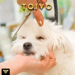 Toivo Schaar Voor Dieren - Zilver - Effileerscharen - Honden Scharenset - Dierenschaar - Set 5 Stuks - Trimscharen - Trimset - Uitdunschaar Hond - Schaar Honden 18 Toivo Schaar Voor Dieren - Zilver - Effileerscharen - Honden Scharenset - Dierenschaar - Set 5 Stuks - Trimscharen - Trimset - Uitdunschaar Hond - Schaar Honden -Hondenspeelgoed Winkel 1200x1200 263