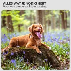 Krachtige Hondenföhn/ Waterblazer Met Draaiknop Om Overtollig Water En Stof Snel Uit De Vacht Te Blazen | Verstelbare Vermogen Standen (500W Tot 2200W) En Verstelbare Temperatuur - Type B Oranje -Hondenspeelgoed Winkel 1200x1200 278