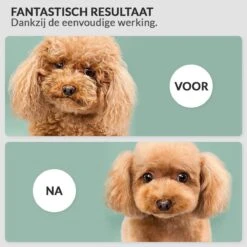 Hondenföhn/Waterblazer - Verstelbare Vermogen Standen (500W Tot 2400W) En Verstelbare Temperatuur - Zwart -Hondenspeelgoed Winkel 1200x1200 302