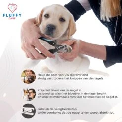 FluffyCare - Professionele Nagelschaar- Nagelschaar Hond - Nagelschaar Kat - Nagelknipper Hond En Kat - Nagelknipper Kat - Nagelknipper Hond - NagelTang Dieren - Poot Verzorging 14 FluffyCare - Professionele Nagelschaar- Nagelschaar Hond - Nagelschaar Kat - Nagelknipper Hond En Kat - Nagelknipper Kat - Nagelknipper Hond - NagelTang Dieren - Poot Verzorging -Hondenspeelgoed Winkel 1200x1200 332
