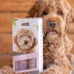 Greenfields Labradoodle Vacht Verzorgingsset - Shampoo En Anti-Klit Spray Voor Langharige Of Krullende Vacht -Hondenspeelgoed Winkel 1200x1200 342