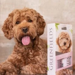 Greenfields Labradoodle Vacht Verzorgingsset - Shampoo En Anti-Klit Spray Voor Langharige Of Krullende Vacht -Hondenspeelgoed Winkel 1200x1200 343